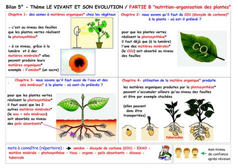 Le Corrigé Site Svt Pour Le Niveau Collège