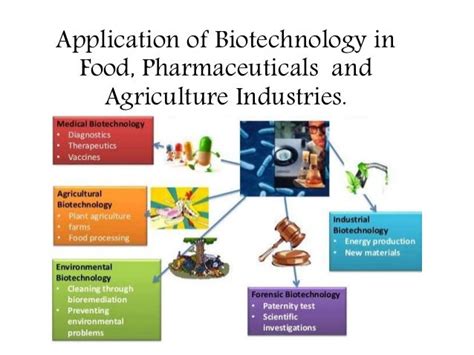 ️ Importance Of Biotechnology In Agriculture 15 Reasons On Why Is