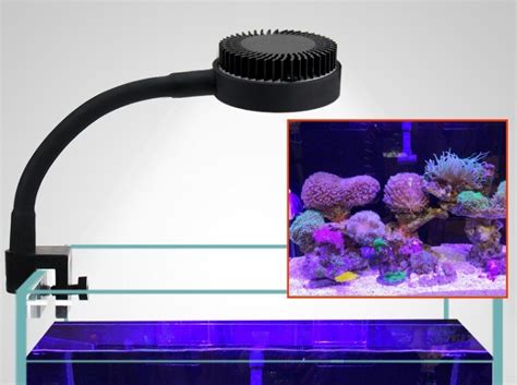 zetlight LED light ZN1010 1020 LED Full Spectrum Aquarium Light Coral ...