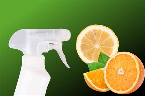 Citric Acid Trumps Vinegar As A Natural Disinfectant Here S How To Use It