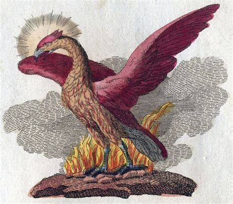 Phoenix (mythology) - Alchetron, The Free Social Encyclopedia