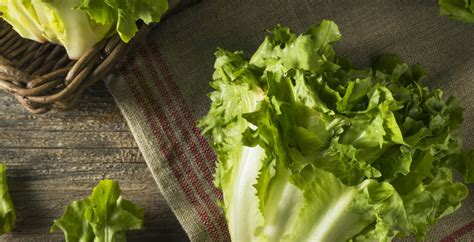 What Is Escarole Lettuce? Benefits, Nutrition and Recipes - Dr. Axe