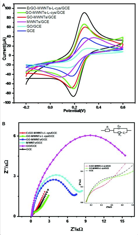 A Cv And B Eis Characterizations Of Bare Gce Gogce Mwcntsgce Download Scientific