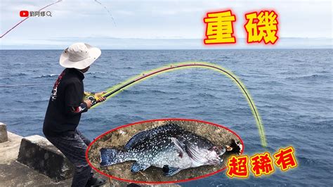 【重磯】狙擊夢幻石鯛 竟意外釣獲比石鯛更稀有的魚種《花蓮東堤》感謝台東釣友準備秘密釣餌 20230325 Youtube