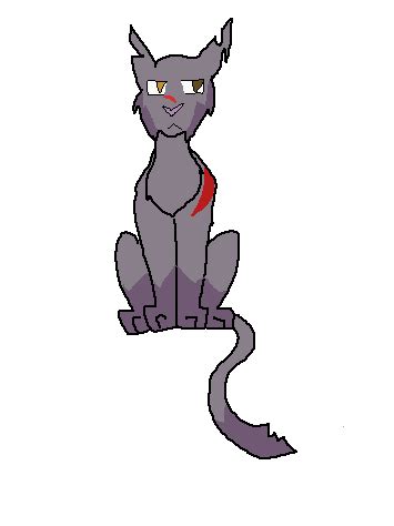 Wishstar the leader of Skyclan by Poketale230 on DeviantArt