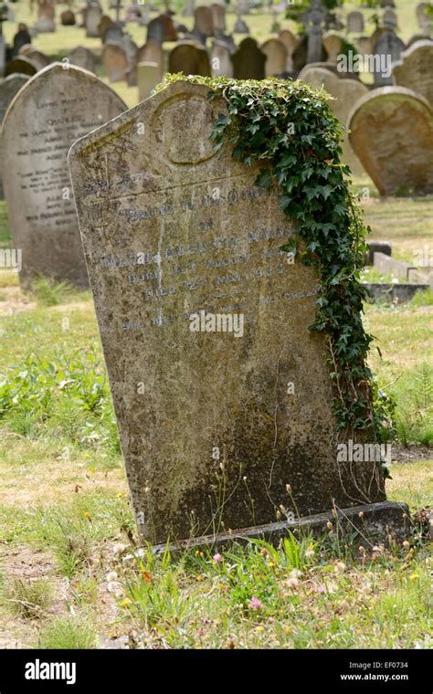 Ivy hill cemetery hi-res stock photography and images - Alamy