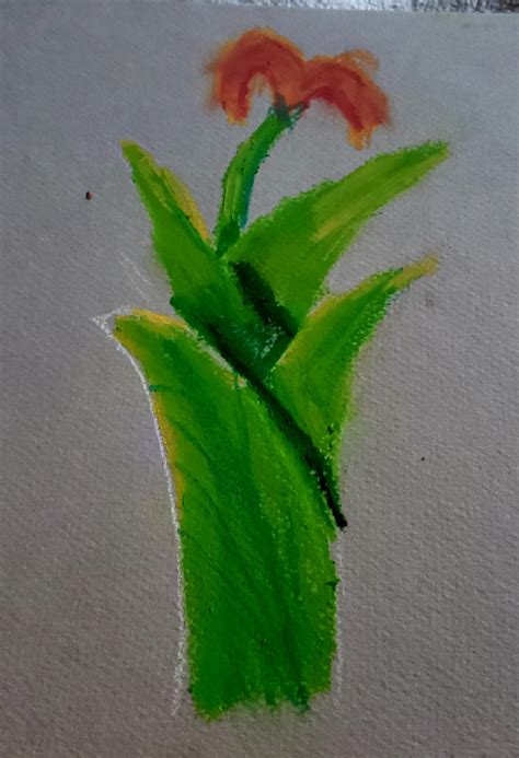 Oil Pastel Flower by conholeo on DeviantArt