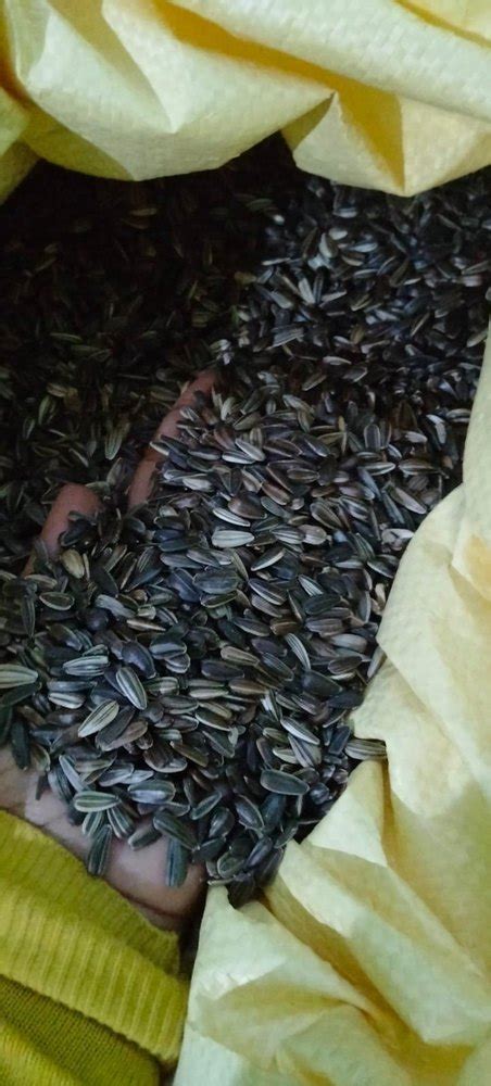 Natural Black Hybrid Sunflower Seeds For Agriculture Packaging Type