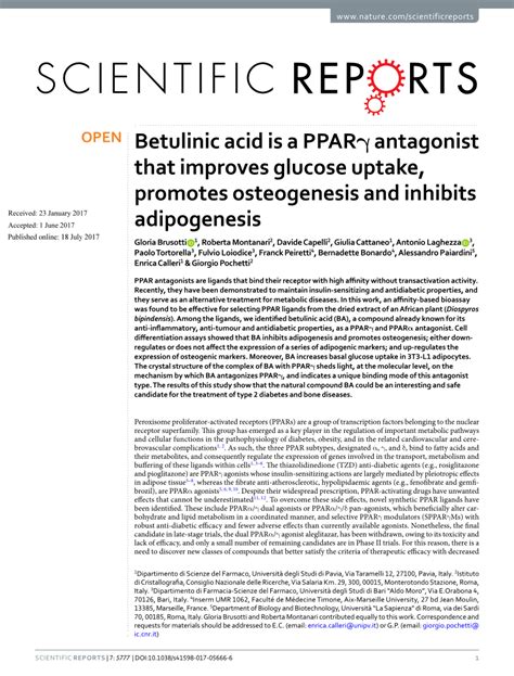 PDF Betulinic acid is a PPARγ antagonist that improves glucose uptake