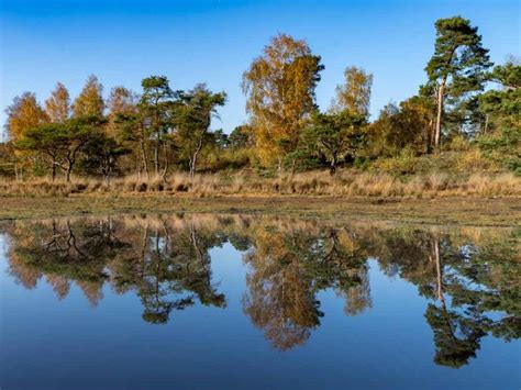 Wanneer Kies Je Voor Een Symmetrische Compositie Natuurfotografie