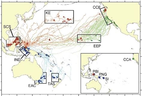 Between 2000 And 2007 Biologists Attached Gps Transmitters To 126