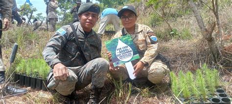 Ejército Guatemala on Twitter EjércitoGT a través de la Segunda