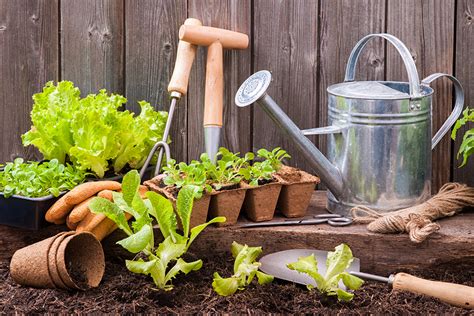 10 Ways to Make Your Garden More Eco-Friendly - Farm Flavor