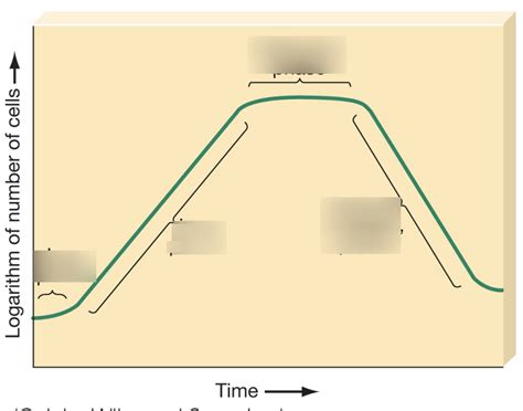 Bacterial Growth Curve Label Diagram Quizlet