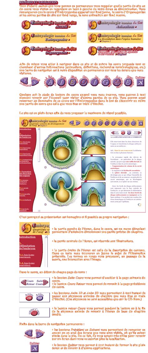 Embryologie Humaine Méthodologie