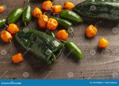 Fresh Jalapeno Habanero And Poblano Peppers On Wood Background Stock