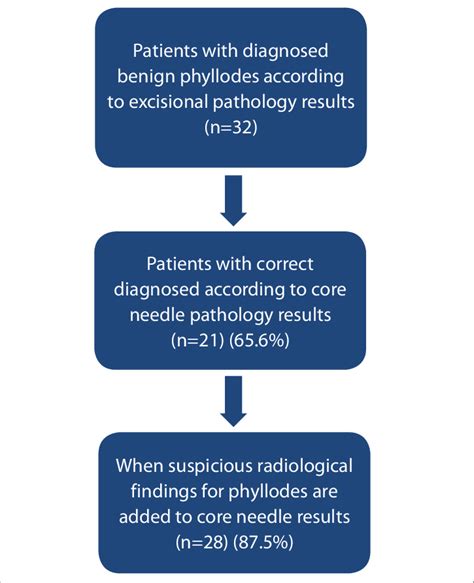 The Diagram Shows Evaluation Of Core Needle Biopsy Results With Download Scientific Diagram