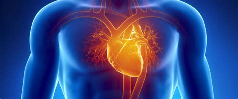 Heart Disease Stroke Death Rates Increase Following Decades Of