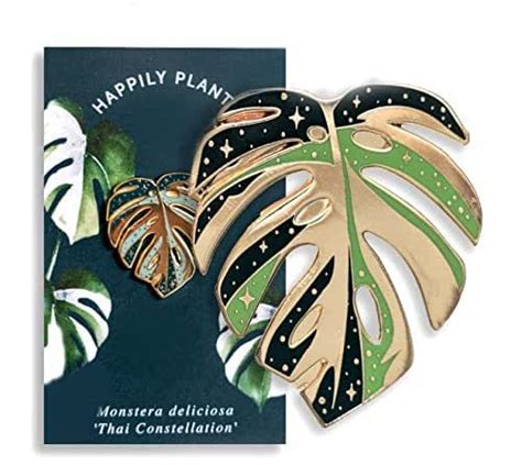 THE ORIGINAL Variegated Monstera Deliciosa Thai Constellation Lapel