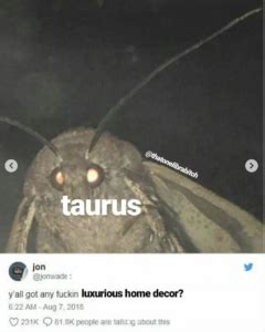 Funny And Relatable Taurus Memes So Syncd