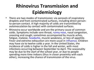 Rhinovirus | PPT