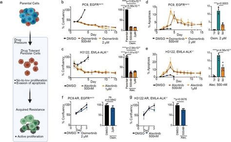 Focal adhesion kinase-YAP signaling axis drives drug-tolerant persister ... 