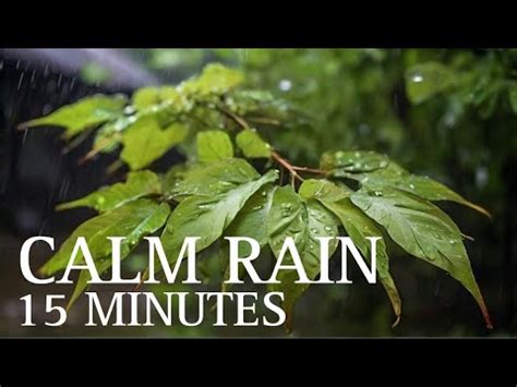 Minutes Of Rain Sounds For Relaxation Youtube