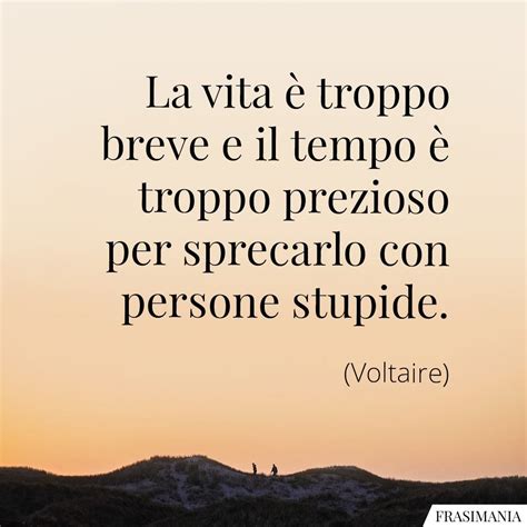 Frasi Sulla Stupidit Umana Con Immagini