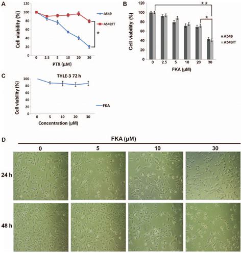 Effect Of Fka On The Viability Of Ptx Resistant A Cells And Normal