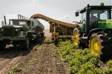 É possível produzir sem desmatar a Amazônia Mega Curioso