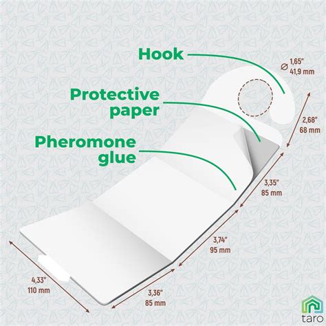 Buy Clothes Moth Traps with Pheromones and Free Cedar Blocks Moth