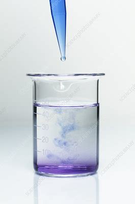 Biuret Test For Proteins Stock Image C039 1302 Science Photo Library