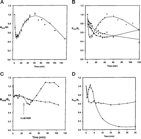 Effect Of NEM On 3 H Ryanodine Binding A The Effect Of 5 MM NEM On