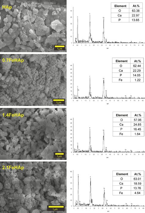 Sem Micrographs And Edx Analysis Reports Of The Pure Hap And Fe Doped