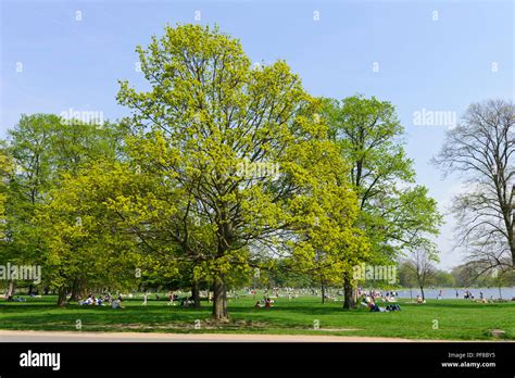 People Enjoying The Hot Weather In Hyde Park London England UK Stock Photo Alamy