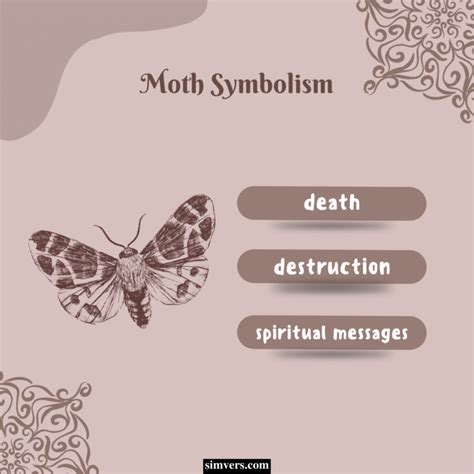 Moth Symbolism: Culture, Dreams, Omens (Full Guide)