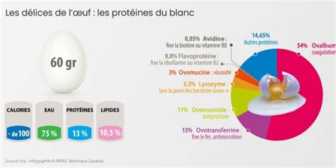 Quel Est Laliment Le Plus Riche En Protéines Planetefemmes