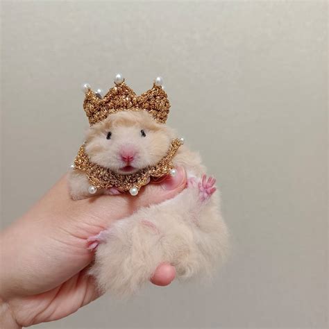 Rat King Costume Etsy