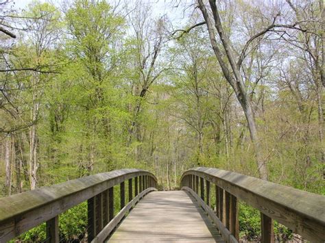 8 Of The Most Beautiful Hikes In Michigan In The Fall