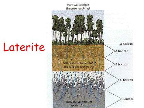 PPT Soil Formation And Mass Movements PowerPoint Presentation Free