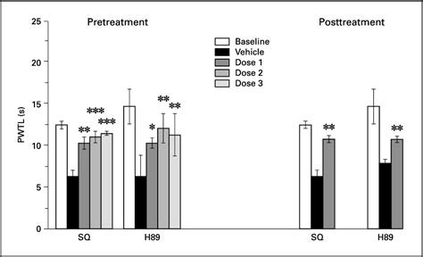 Figure From Differential Roles Of Spinal Protein Kinases C And A In