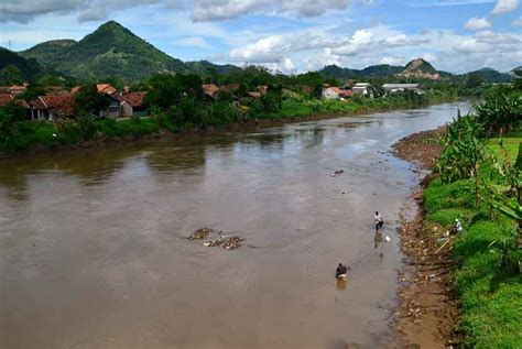 Sungai Citarum Tercemar Ini Penyebabnya Republika Online