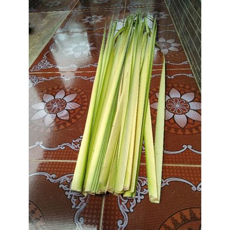 Jual Daun Kelapa Muda Per 30 Embar Bonus Shopee Indonesia