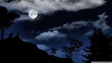 Forest Moon Wallpapers - Top Free Forest Moon Backgrounds - WallpaperAccess