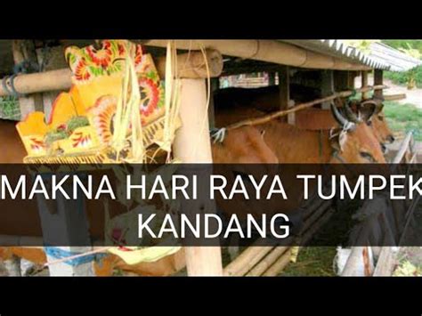 MAKNA HARI RAYA TUMPEK KANDANG YouTube