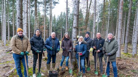 M Nchen Wiesn Wirte Pflanzen B Ume Im Wald