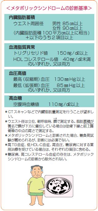 メタボリックシンドロームについて 知っておきたい病気の話 ヘルス・インフォメーション 大隅鹿屋病院