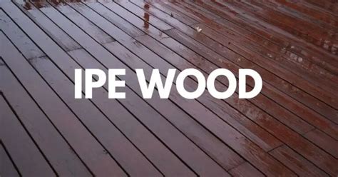 Ipe Wood - Uses, Benefits, Pros and Cons - Timber Blogger