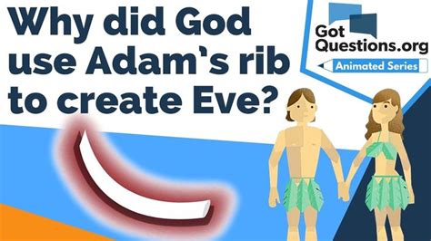 Two People In Swimsuits With Text That Reads Why Did God Use Adam S