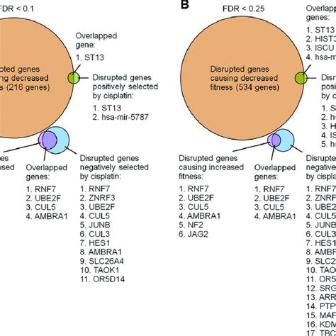 Disrupted Genes Positively And Negative Selected By Cisplatin Overlap Download Scientific